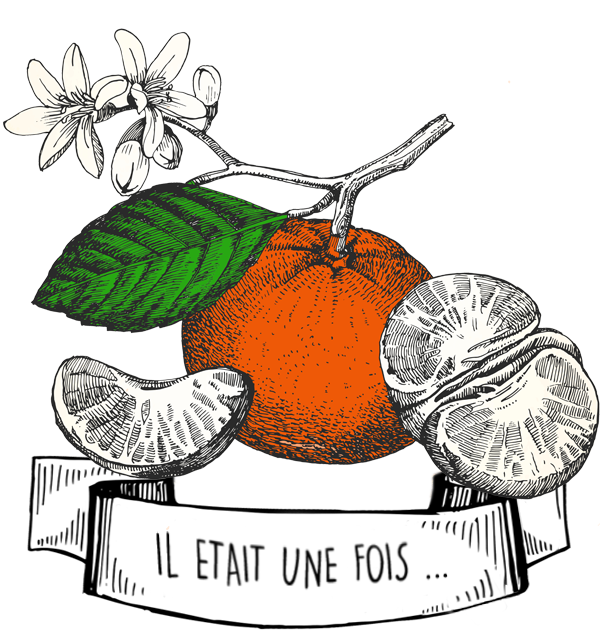 Olyaris - Huile essentielle d'Orange : Tout savoir